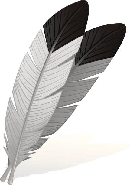 Eagle Feather Clip Art, Vector Images & Illustrations - iStock