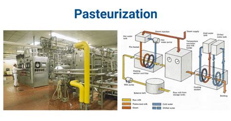 Pasteurization- Definition, Types, Process, Comparison, Uses