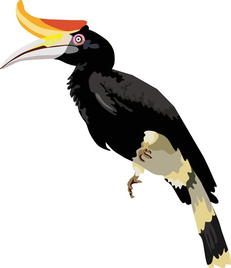 Hornbill Bird Animal Vector Illustration 3578125 Vector Art at Vecteezy