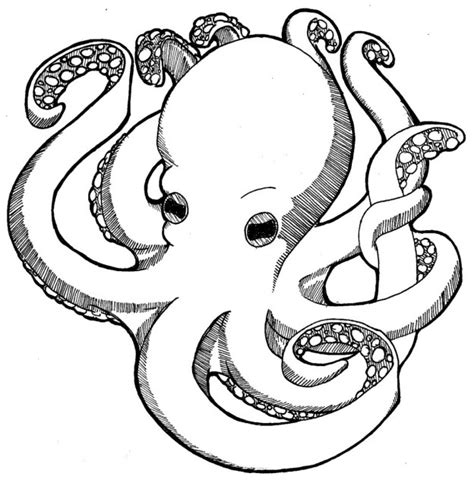 Octopus Coloring Page - Imagui