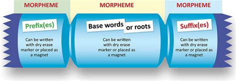 What is morphology? - Word Cracking