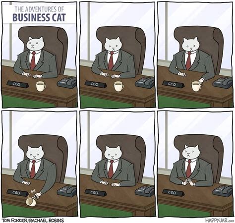 The Adventures of Business Cat! | Business cat, Funny animals, Cat comics