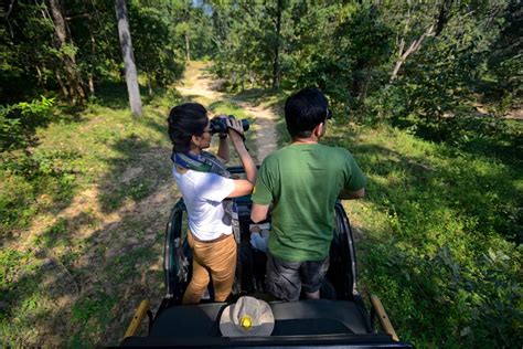 Flora & Fauna of Kanha – Kanha National Park