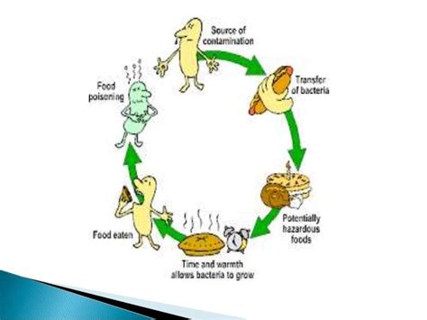 Bacterial growth and food poisoning