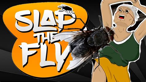 SLAP THE FLY: CÓMO NO MATAR UNA MOSCA - YouTube