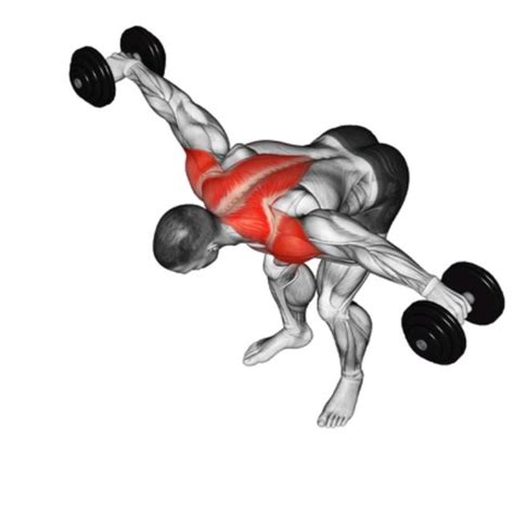 Dumbbell Reverse Fly