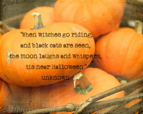 Pumpkins Orange Fall Autumn Halloween Witches Quote Orange