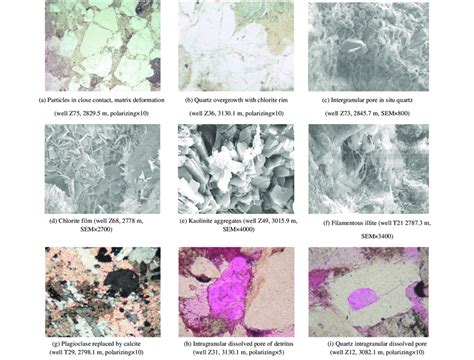 Diagenesis types and characteristics of the East II part of Sulige gas ...