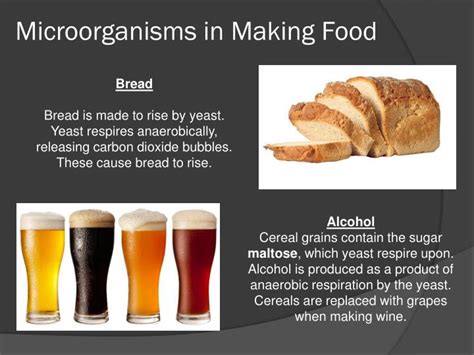 PPT - Lesson 3 Microorganisms & Food PowerPoint Presentation - ID:2376944