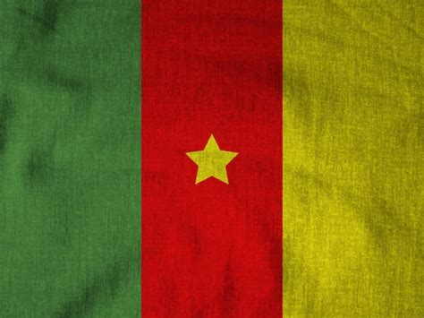 Premium Photo | Cameroon flag