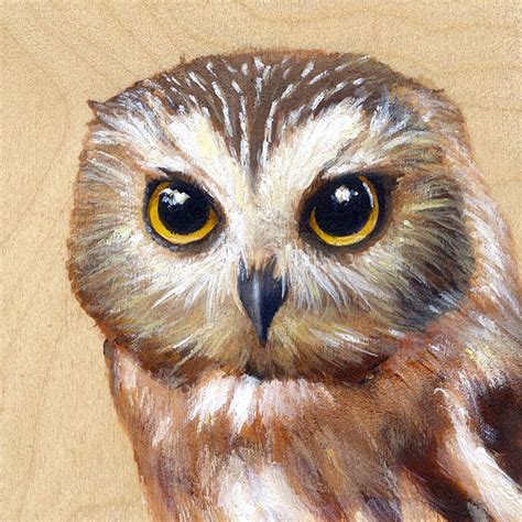 Northern Saw Whet Owl - Bird Art Portrait | Bird art, Bird art print, Saw whet owl