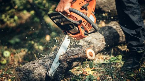 Stihl Wallpapers - Top Free Stihl Backgrounds - WallpaperAccess