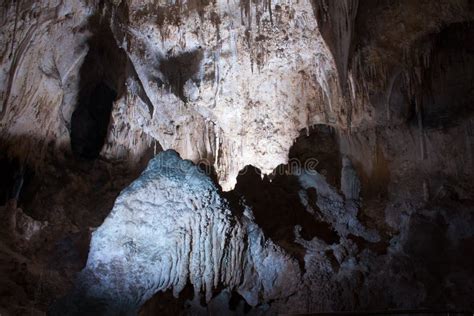 185 Carlsbad Caverns Bats Stock Photos - Free & Royalty-Free Stock ...