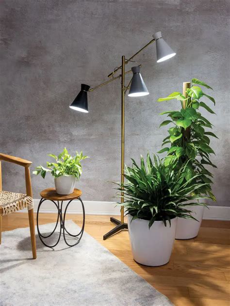 3-Arm Floor Lamp for Plants | Gardener's Supply | Grow lamps, Indoor plant lights, Plant lighting