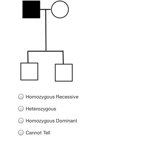 If shaded symbols indicate having a dominant trait, what must be the genotype of the father in ...