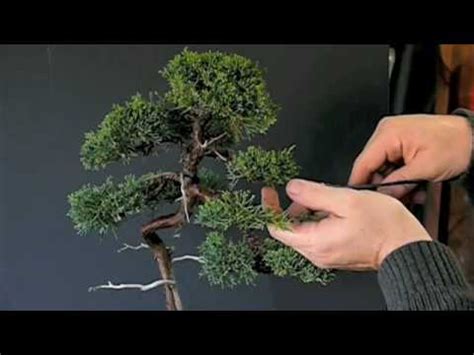 Pruning Techniques for Juniper - YouTube