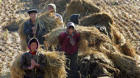 North Korea suffers worst drought in nearly 40 years amid food shortage ...