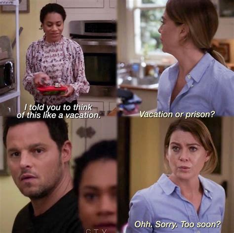 Series: Grey's Anatomy | Grey anatomy quotes, Greys anatomy funny, Greys anatomy characters