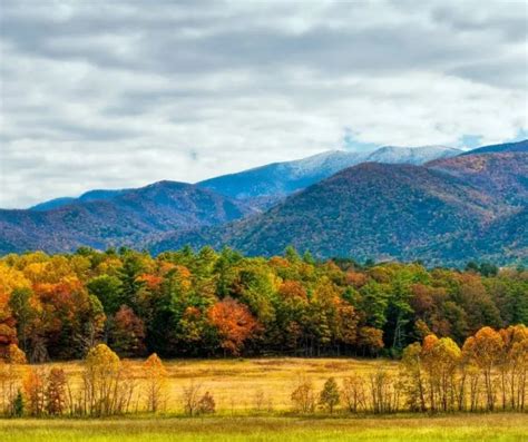 Tennessee Fall Colors- 15 Great Places to Enjoy Fall Foliage