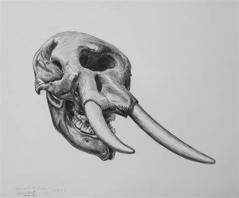 Swifty the Artist: Mastodon Skull