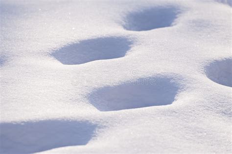 Tractor tracks in the snow stock image. Image of cool - 12334757