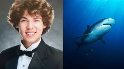 Shark Expert Says This is What Cameron Robbins' Last Moments Would Have Been Like | CafeMom.com