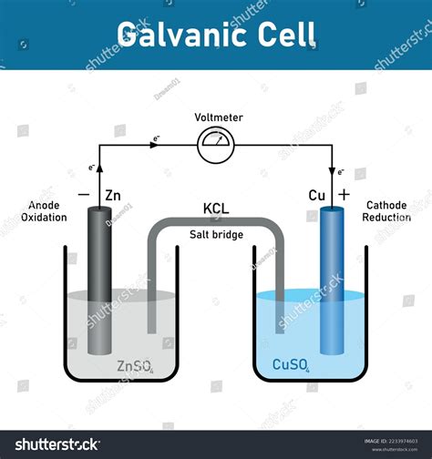 Electrochemical Cell Diagram Galvanic Cell Voltaic Stock, 44% OFF