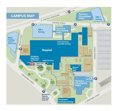 Neuroscience Institute at The Queen’s Medical Center – The Queen′s Health Systems