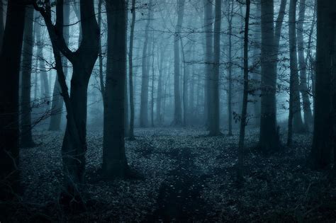 Image - Slender In Woods.png - The Slender Man Wiki