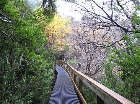 Dove Lake Circuit | About Tasmania