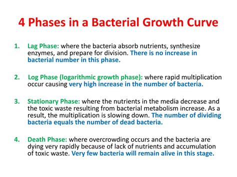 5 Phases Of Bacterial Growth