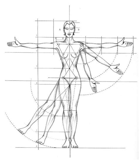 Human Anatomy Drawing Proportions ~ Proportions Drawing Female Figure Proportion Human Draw Body ...