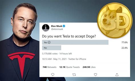 Elon Musk Just Twitted Asking if Tesla Should Accept Doge as Payment – Do You Even Hodl? Bitcoin ...