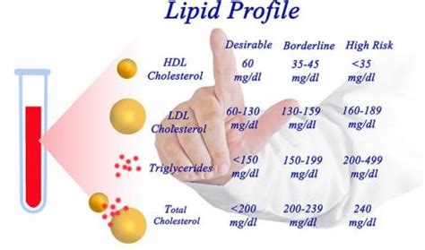 Lipid Profile Test: When & Why to Get It?