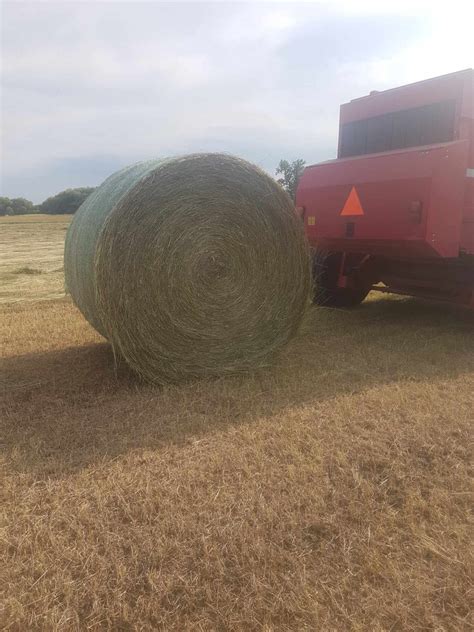 Hay bales | Livestock | Calgary | Kijiji