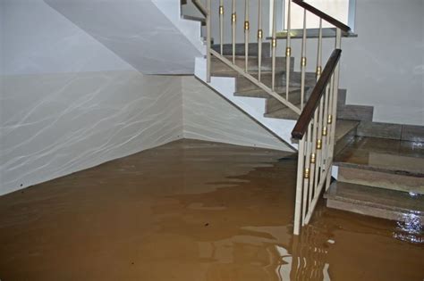 Flood Damage Repair in Whitewright TX | Water Damage Services of Plano ...