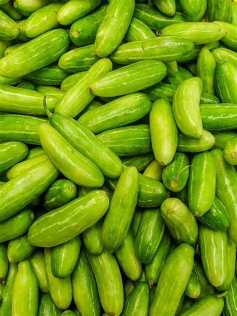 Tindora (Ivy Gourd): Uses, Benefits, And An Easy Recipe! | World of Vegan