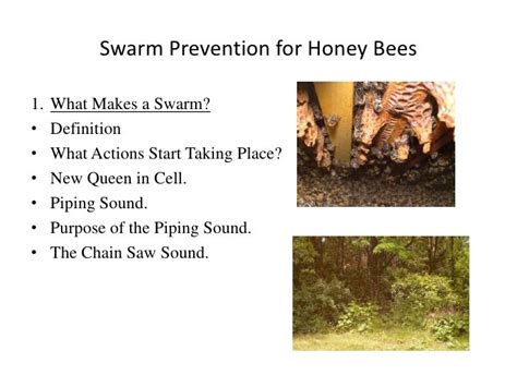 Swarm Prevention For Honey Bees