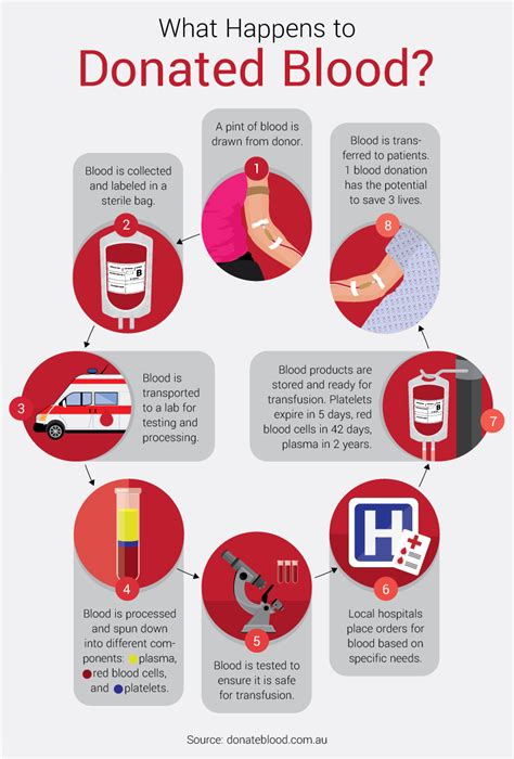 10 Surprising Facts About Donating Blood; From Most Needed Blood Type To Time Of Year With Most ...