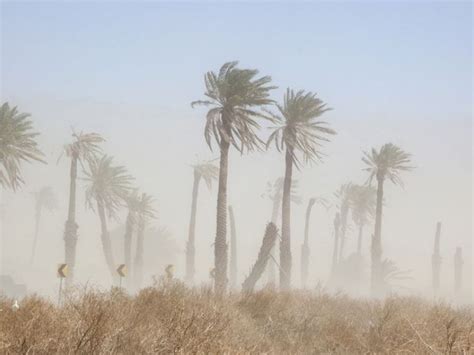 Gusty Winds Forecast for East County | Santee, CA Patch