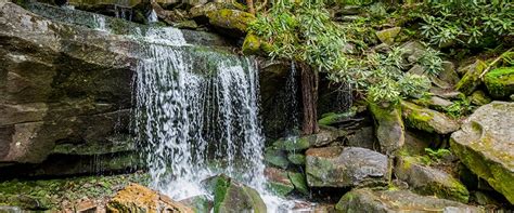 Hiking Rainbow Falls Trail | Smoky Mountains TN