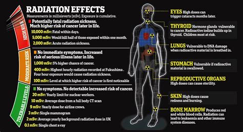 Radiation Effects - Nuclear Oceans