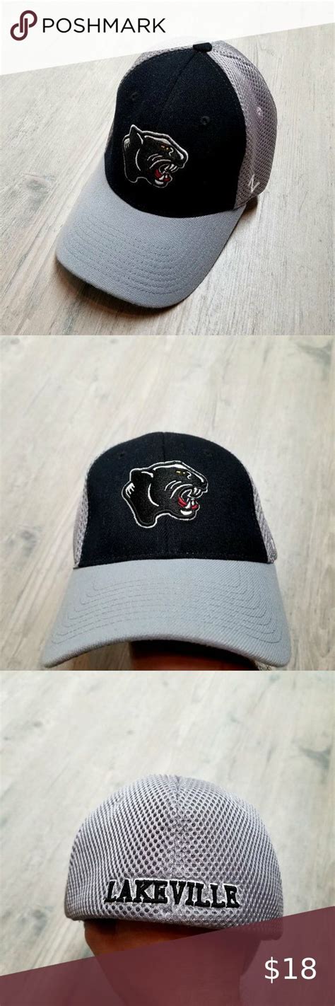 Zephyr Panther Flex Fit Hat. Perfect Condition!