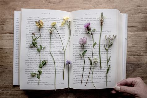 How to Press Flowers: A Guide for Beginners — Paper Thin Moon | British Handmade Pottery ...