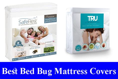 Best Bed Bug Proof Mattress Covers Reviews 2022 - All Time Reviews