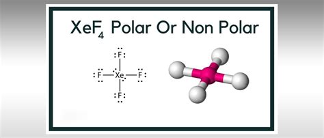 Is XeF4 Polar or Nonpolar? All You Need to Know