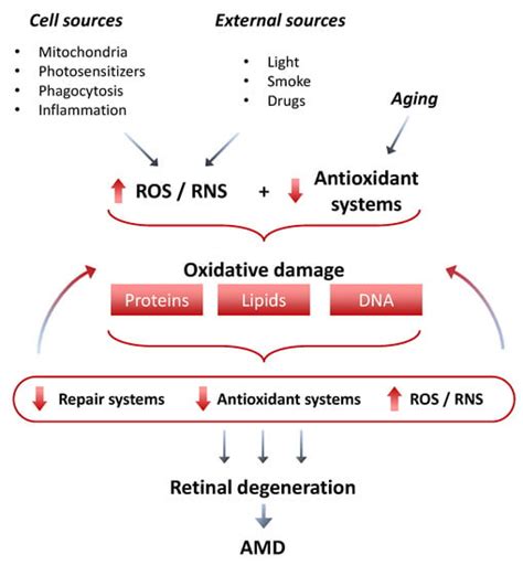 Antioxidants | An Open Access Journal from MDPI