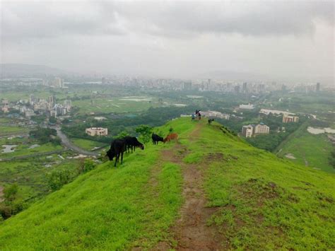 Kharghar Hills in Monsoon - A tale of two bengalis on hilltop