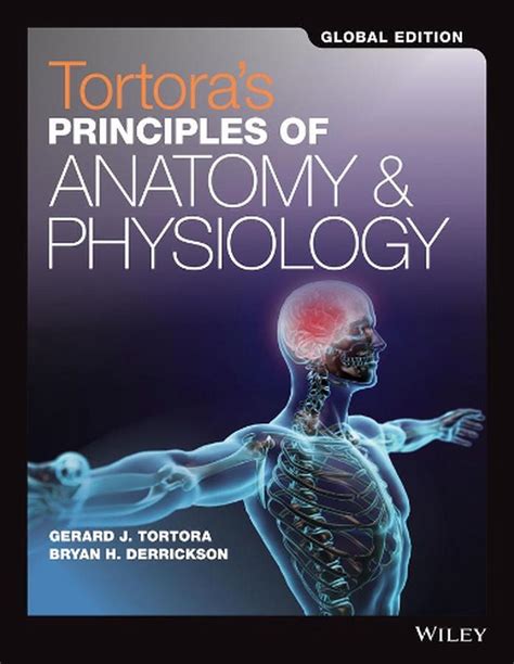 Principles of Anatomy and Physiology Set 15E Global Edition by Tortora, Paperback, 9781119400066 ...