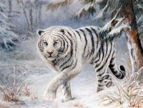 White Tiger Painting by Sharon Weaver - Pixels